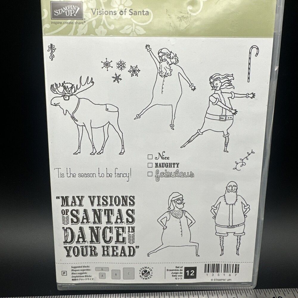 Stampin Up VISIONS OF SANTA stamps Christmas Moose Naughty Nice funny Winter